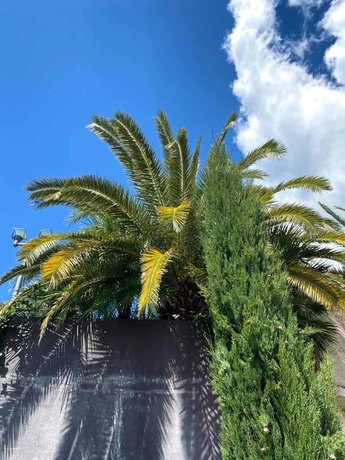 Calma Bungalows Portoroz Bagian luar foto